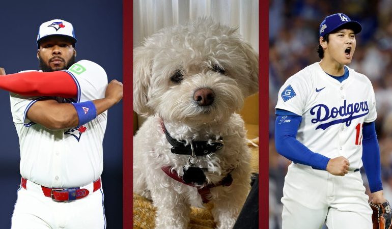  World Series picks leave man, dog commiserating before Game 6