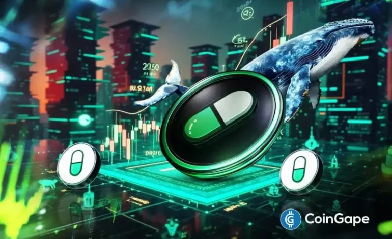  PUMP Price Set for Lift-Off as Whales Return With Multi-Million Dollar Buys