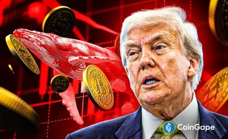  “Trump Insider Whale” Opens $127M Short on Bitcoin Ahead of Trump’s Big Announcement- Is Another Crypto Crash Ahead?