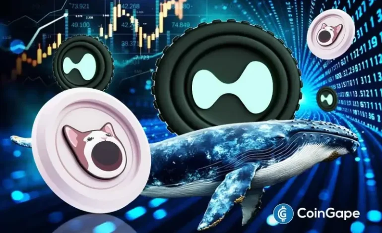 Hyperliquid Pool Sees $4.9M Loss Amid POPCAT Whale Market Exploit